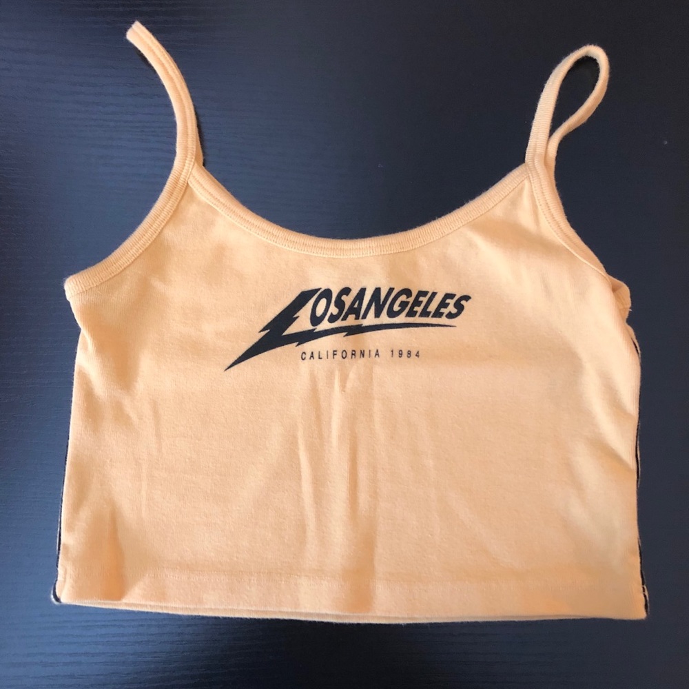 Brandy Melville Crop Top OS